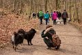 uklei (28)